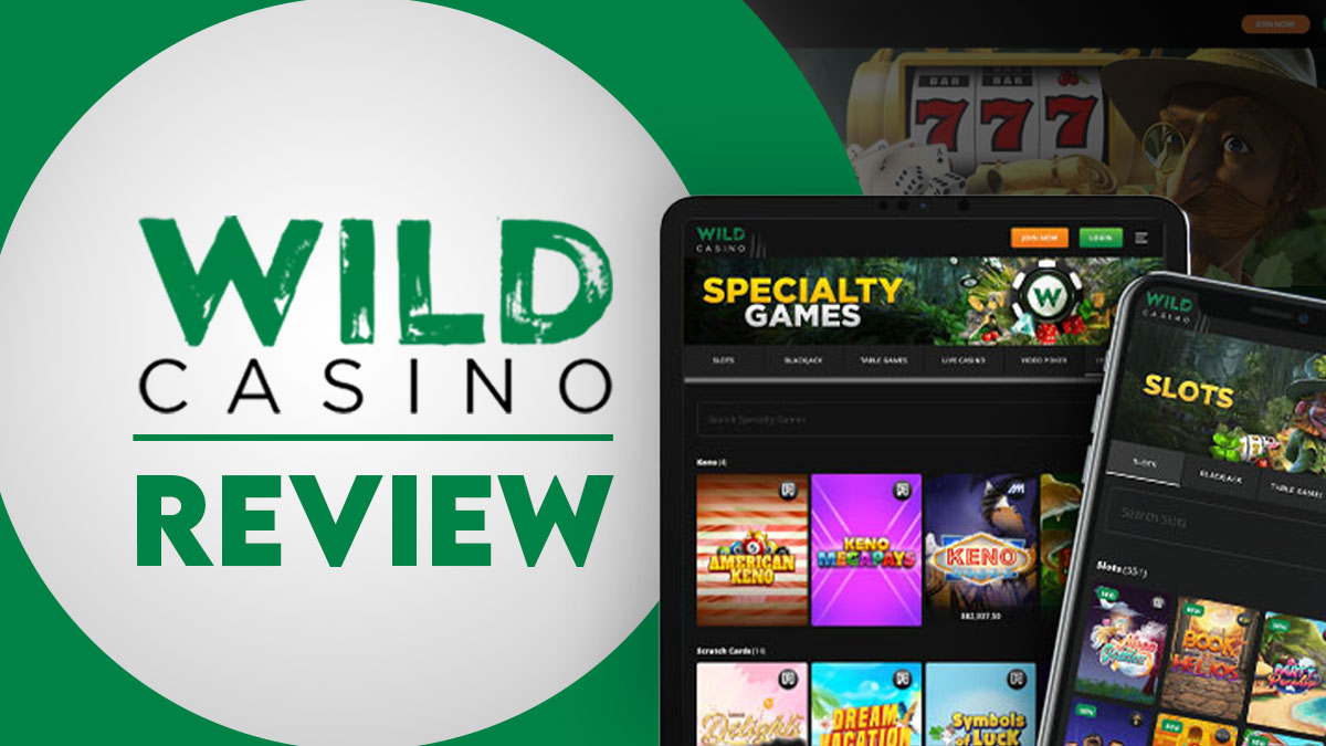 Full Review of Wild Online Casino