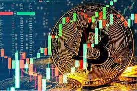 Exploring the RBI Authorised Crypto Trading App A New Era in Digital Trading