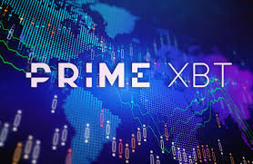 Exploring the PrimeXBT Trading Platform A Comprehensive Overview