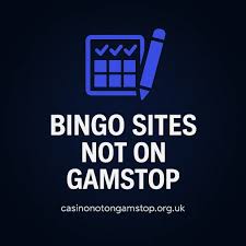 Comprehensive List of Bingo Sites Not on GamStop -723733512